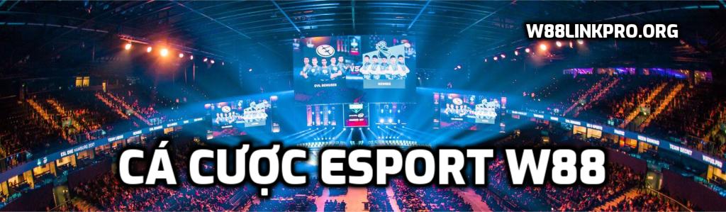 Cá cược Esport W88