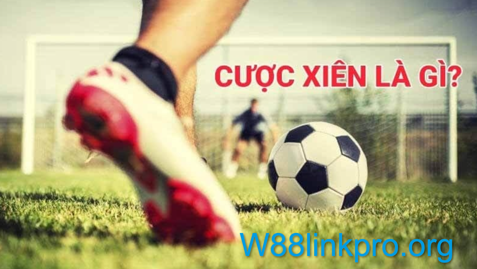 Tránh chơi cược xiên bóng đá tại W88